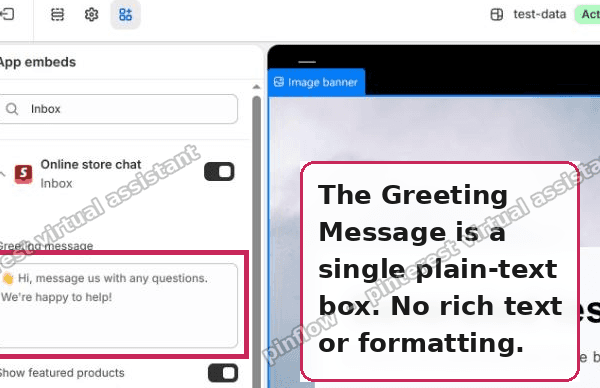 The Shopify Inbox Greeting Message is a single plain-text field|600x388
