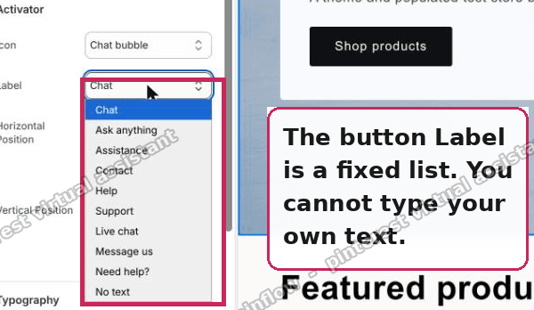 The chat button Label is a fixed preset list, not free text|600x348
