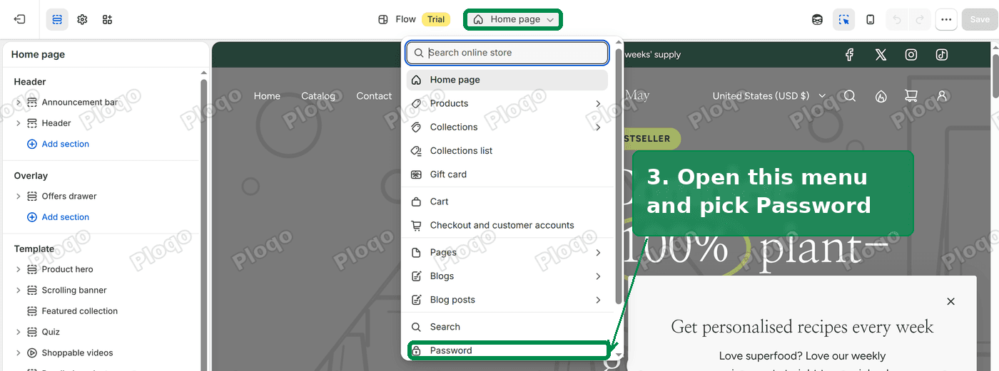 The theme editor page menu open, with Password at the bottom of the list