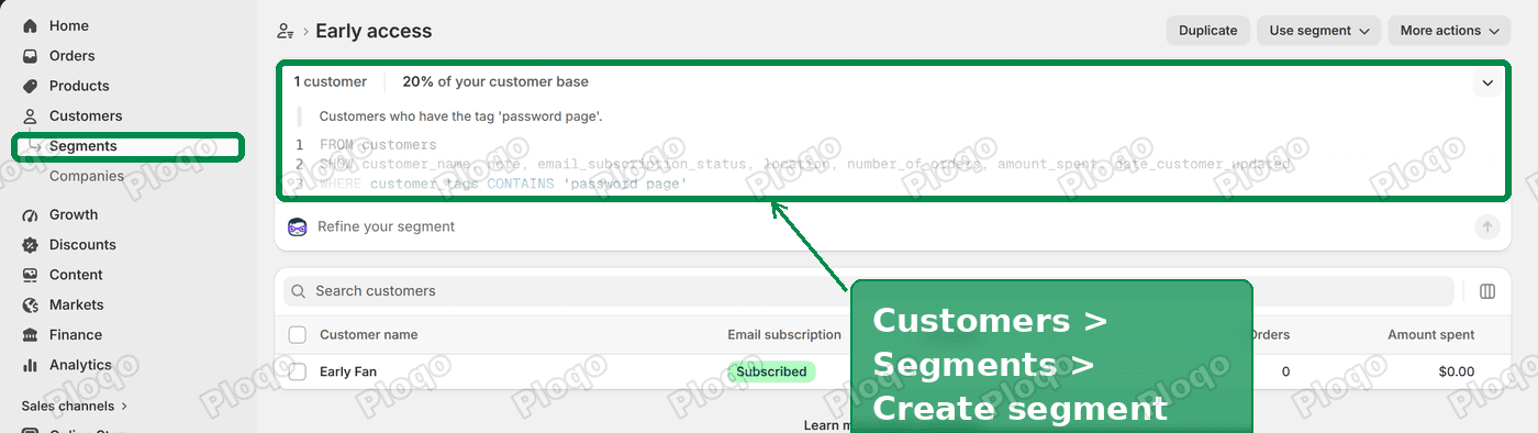 The Early access segment in the Shopify admin, filtering customers who have the password page tag