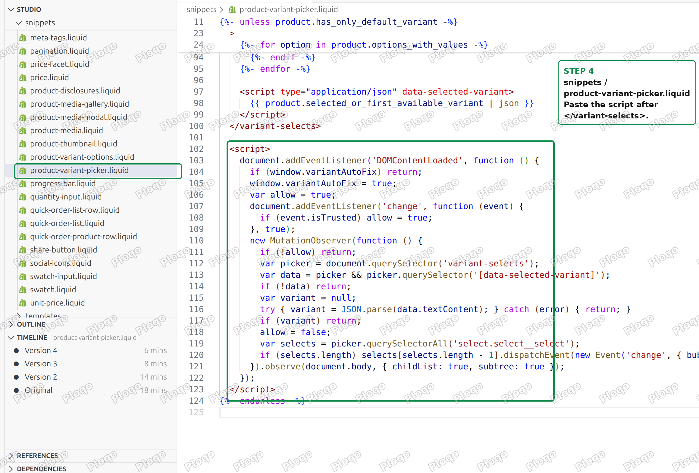 The script pasted into the variant picker snippet
