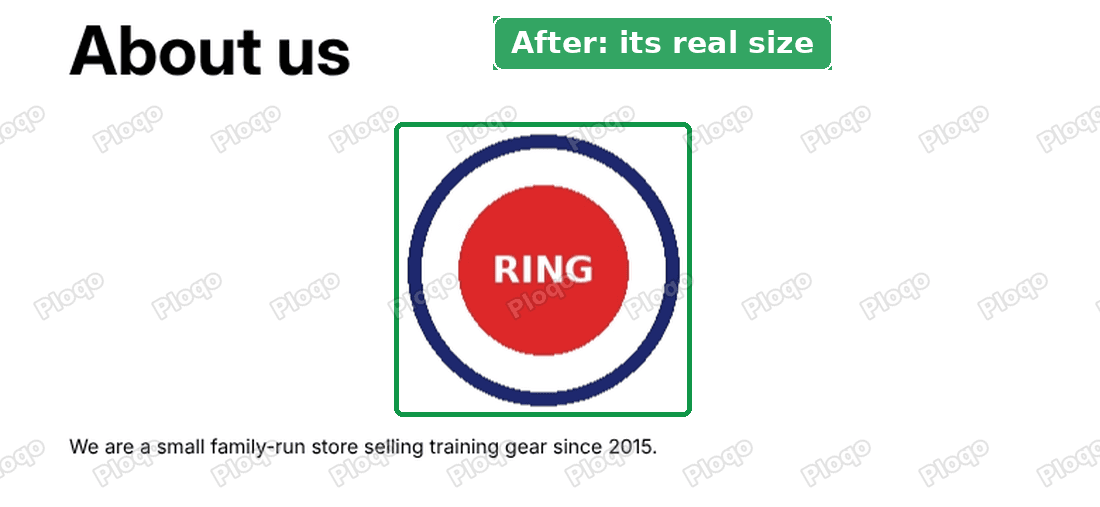 The same logo at its real 200 pixel size, centered under the About us title