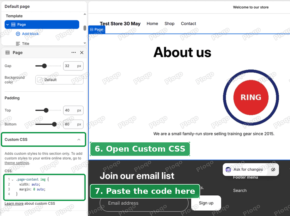 The Custom CSS box with the code pasted in, and the logo already back at its real size in the preview