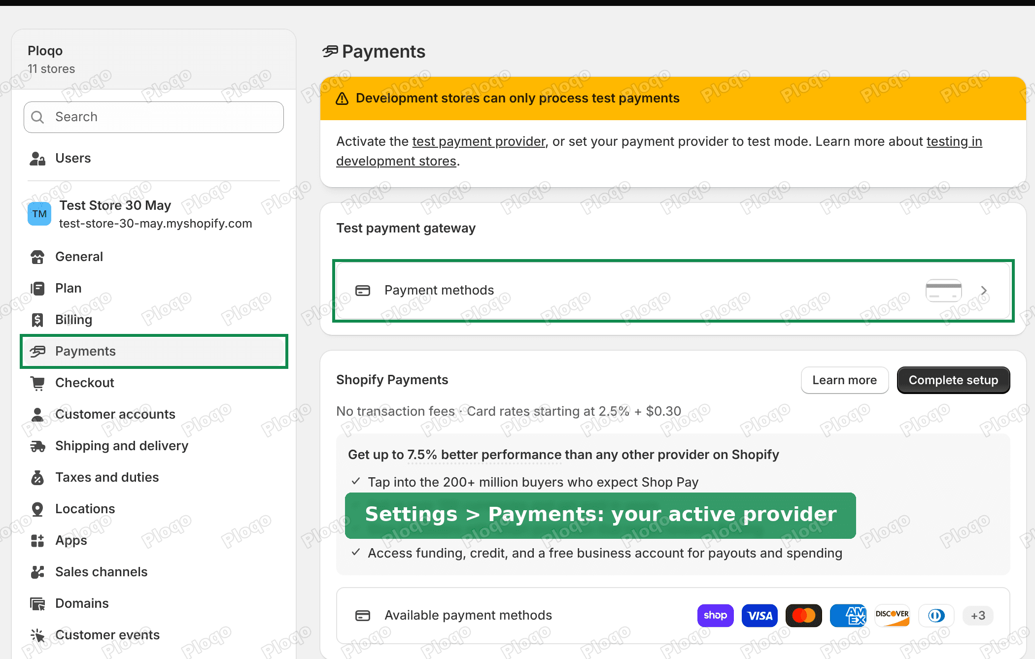 Shopify admin Settings, Payments page with the Payments menu item and the active provider's Payment methods card highlighted