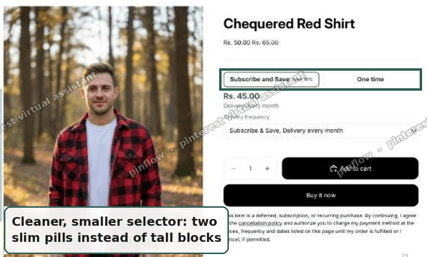 Compact two-pill selector with Subscribe and Save selected on Horizon