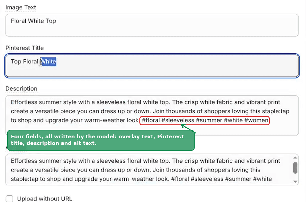 The Pin Details panel showing Image Text, Pinterest Title, Description and Alt Text, with the hashtags at the end of the description outlined
