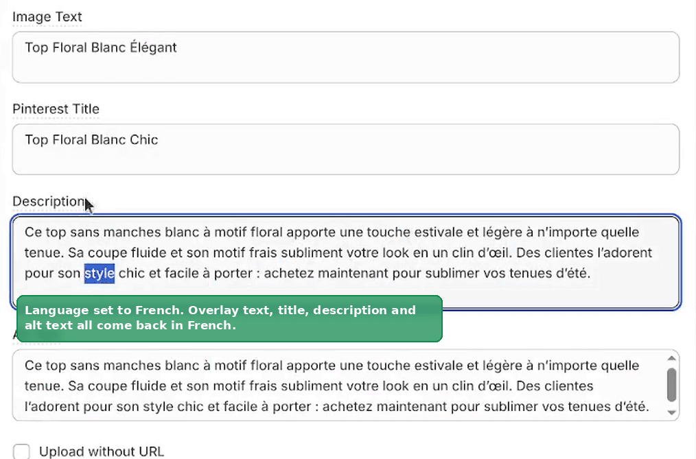 The Pin Details panel with the image text, title, description and alt text all in French
