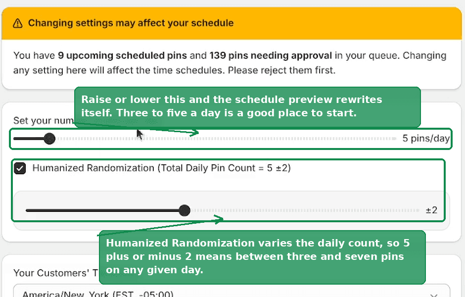 The warning banner about pins already in the queue, the pins per day slider, and the Humanized Randomization control