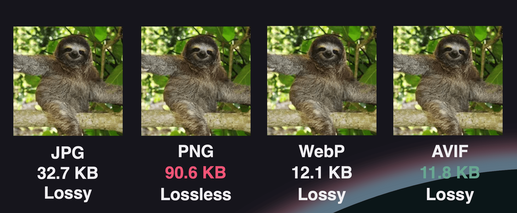 Identical photograph hosted in JPG, PNG, WebP, and AVIF