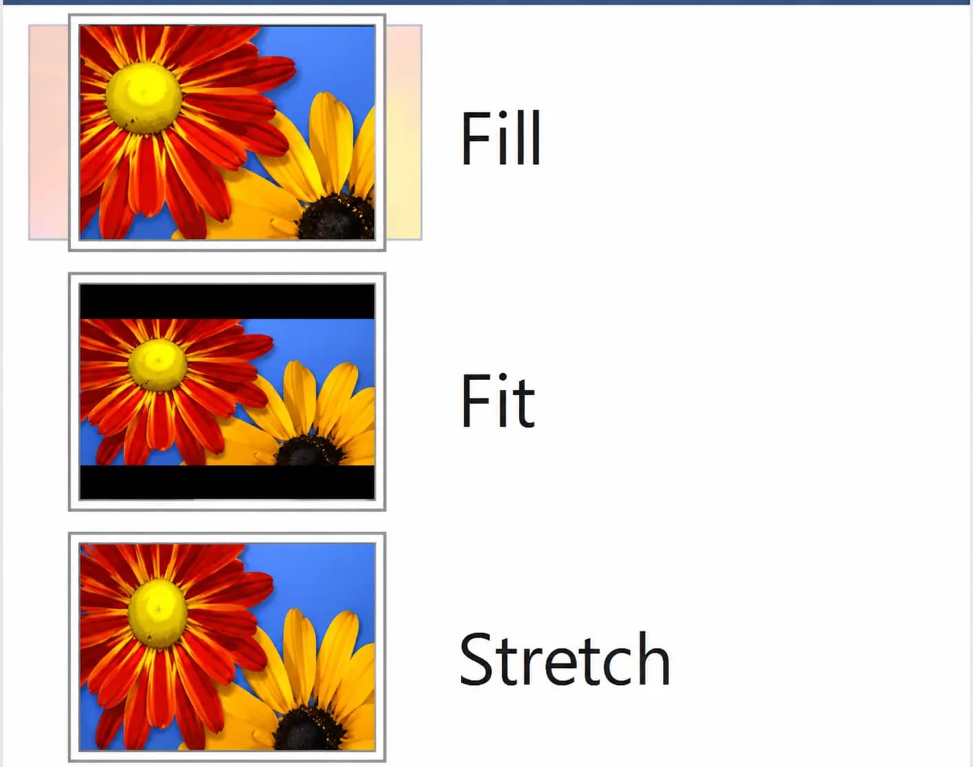 Visual comparison showing Fill, Fit, and Stretch resize modes
