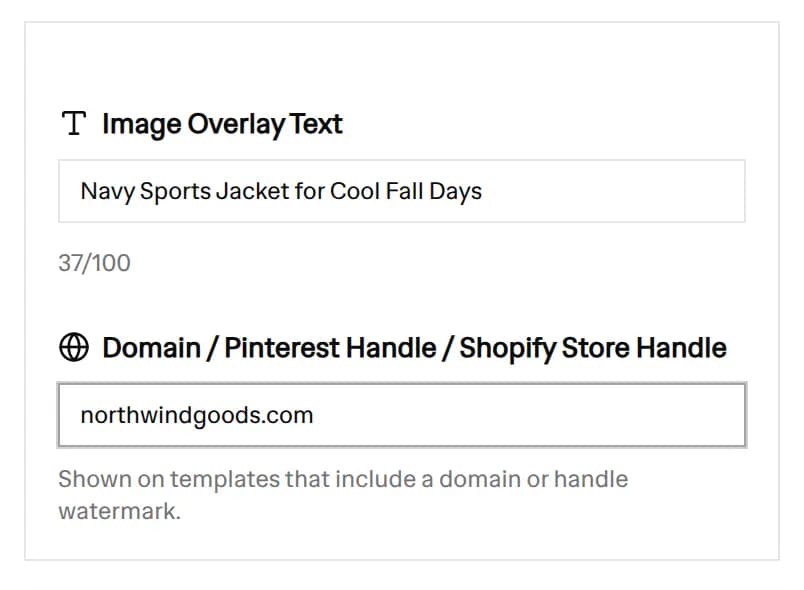 The Image Overlay Text field with a product headline and the domain field with a store address