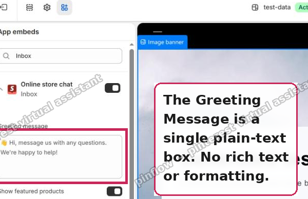 The Shopify Inbox Greeting Message is a single plain-text field|600x388