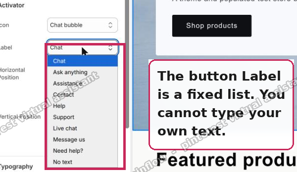 The chat button Label is a fixed preset list, not free text|600x348